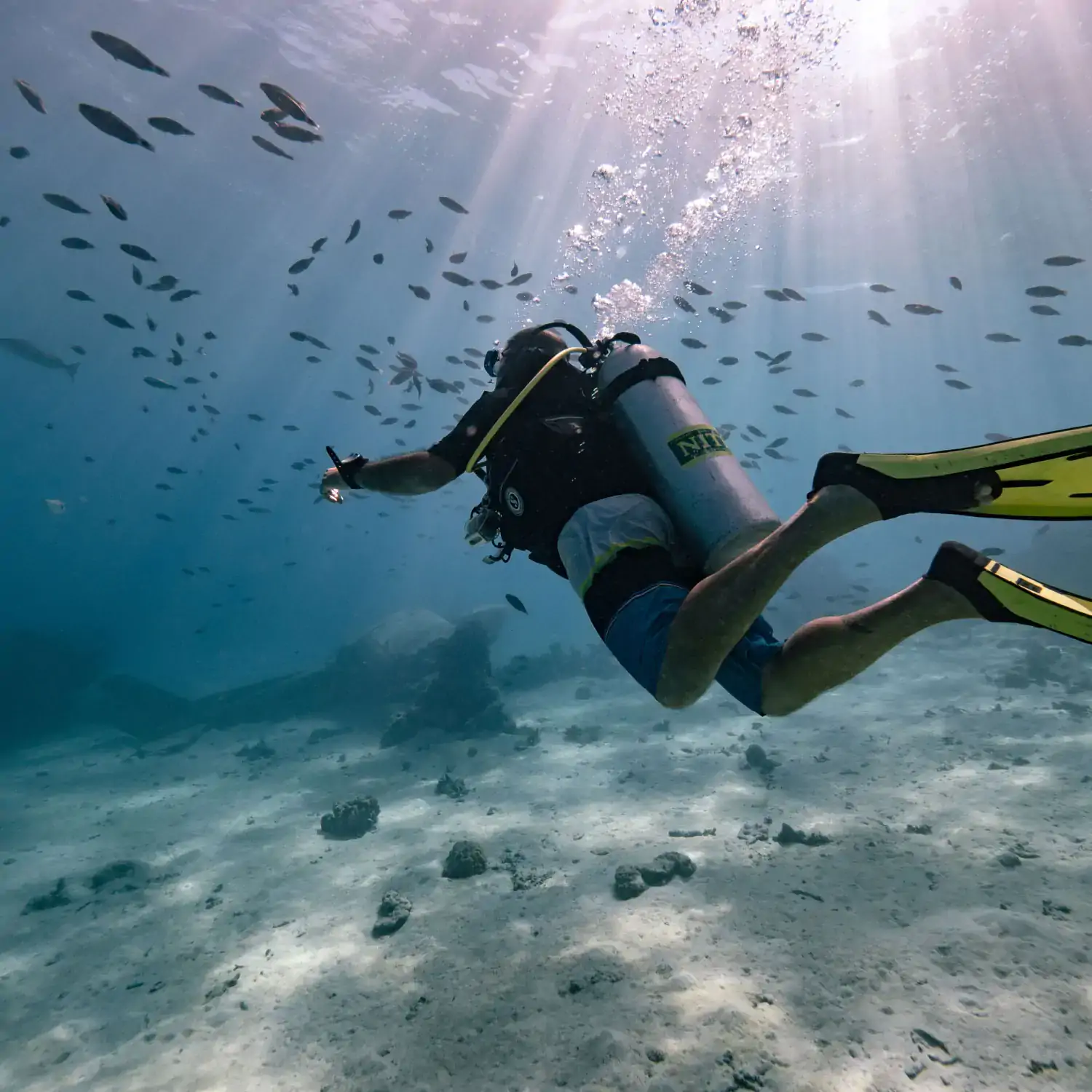 p2_02_tahiti_photo-9-c-mark-fitz-1