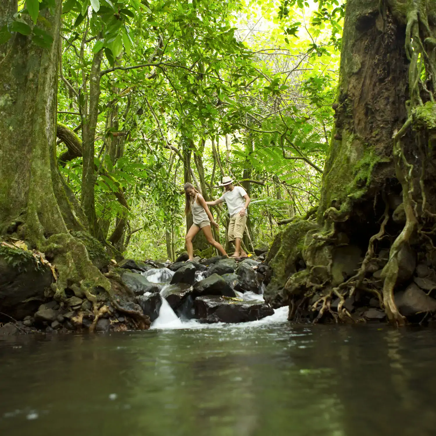 p2-02-moorea-00537-1