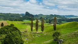 Hotels in Waitomo