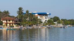 Hotels in Alter do Chão