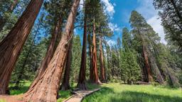 Sequoia National Park vakantiehuizen