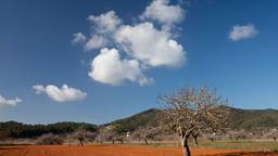 Sant Miquel de Balansat autoverhuur