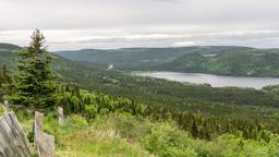 Hotels in Deer Lake (Newfoundland en Labrador)
