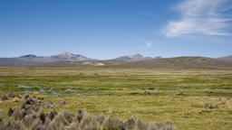 Hotels in Tacna