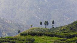 Vind goedkope vluchten naar Darjeeling