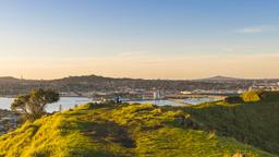 Hotels in Mangere
