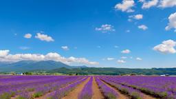 Hotels in Furano