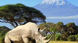 Hotels in Amboseli