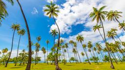 Hotels in Temae
