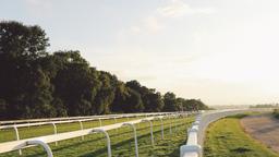 Epsom autoverhuur