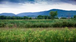 Hotels in Montebello