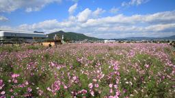 Hotels in Kameoka