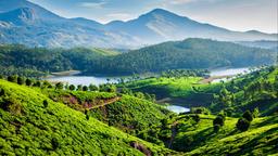 Hotels in Munnar