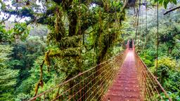 Hotels in Monteverde