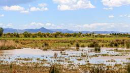 Hotels in el Prat de Llobregat