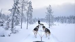 Kuusamo autoverhuur