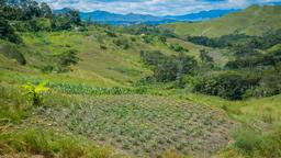 Goroka autoverhuur