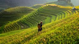 Hotels in Sa Pa
