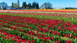 Hotels in Woodburn