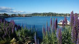 Hotels in Sausalito