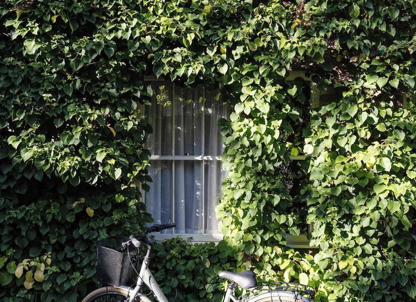 Buiten zicht Foto's