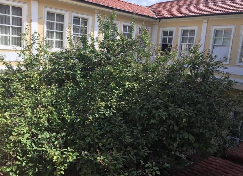 Buiten zicht Foto's