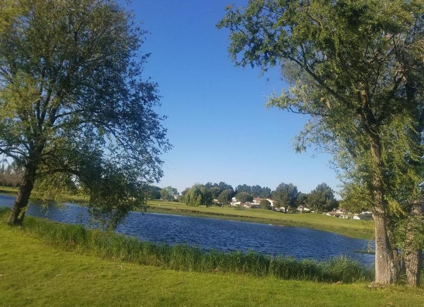 Buiten zicht Foto's